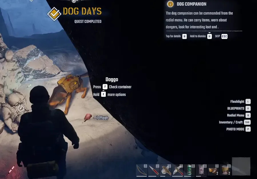 Dog wearing its pack in Bone Cave with the companion interaction prompt visible